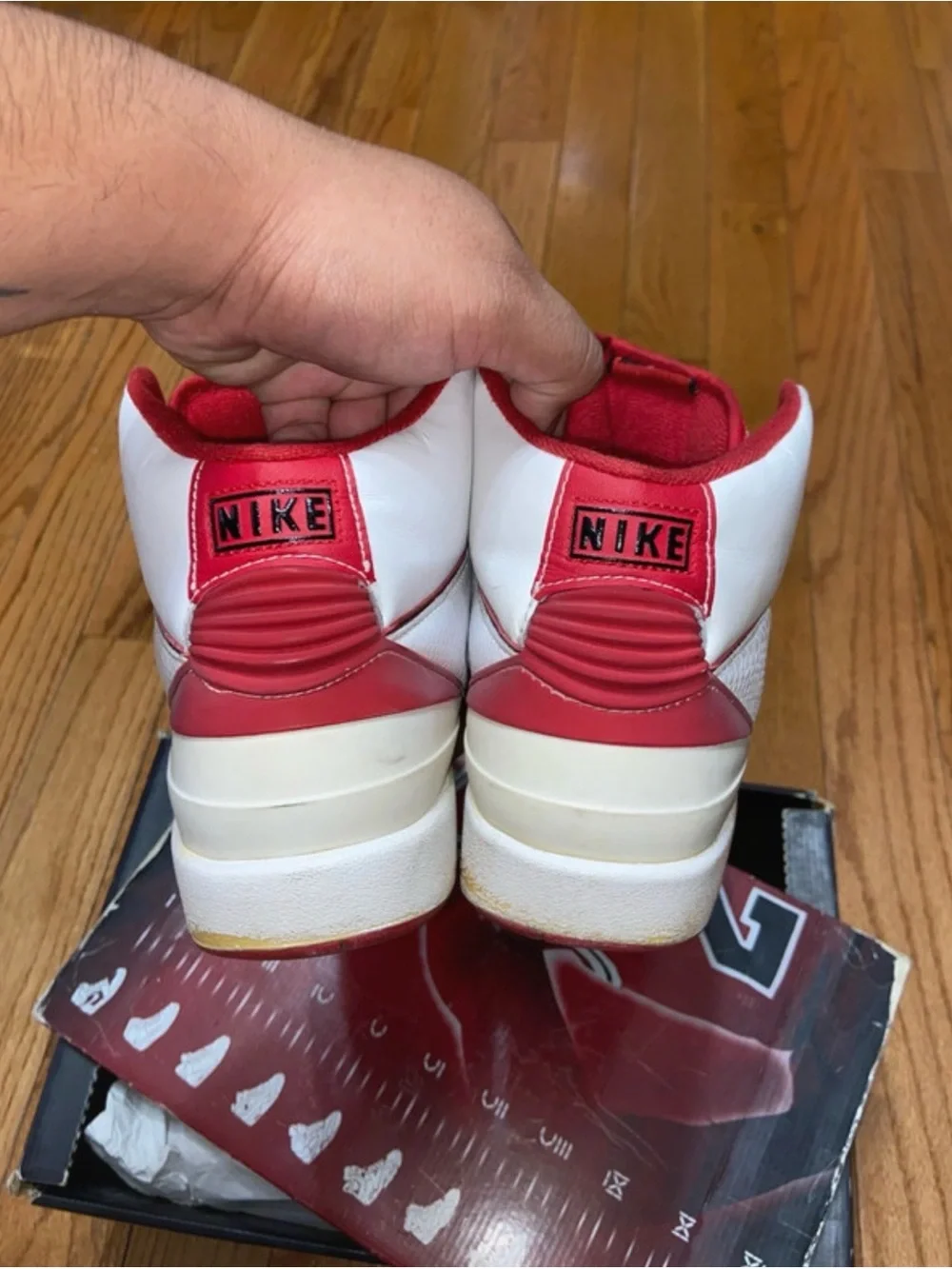 Air Jordan 2 retro